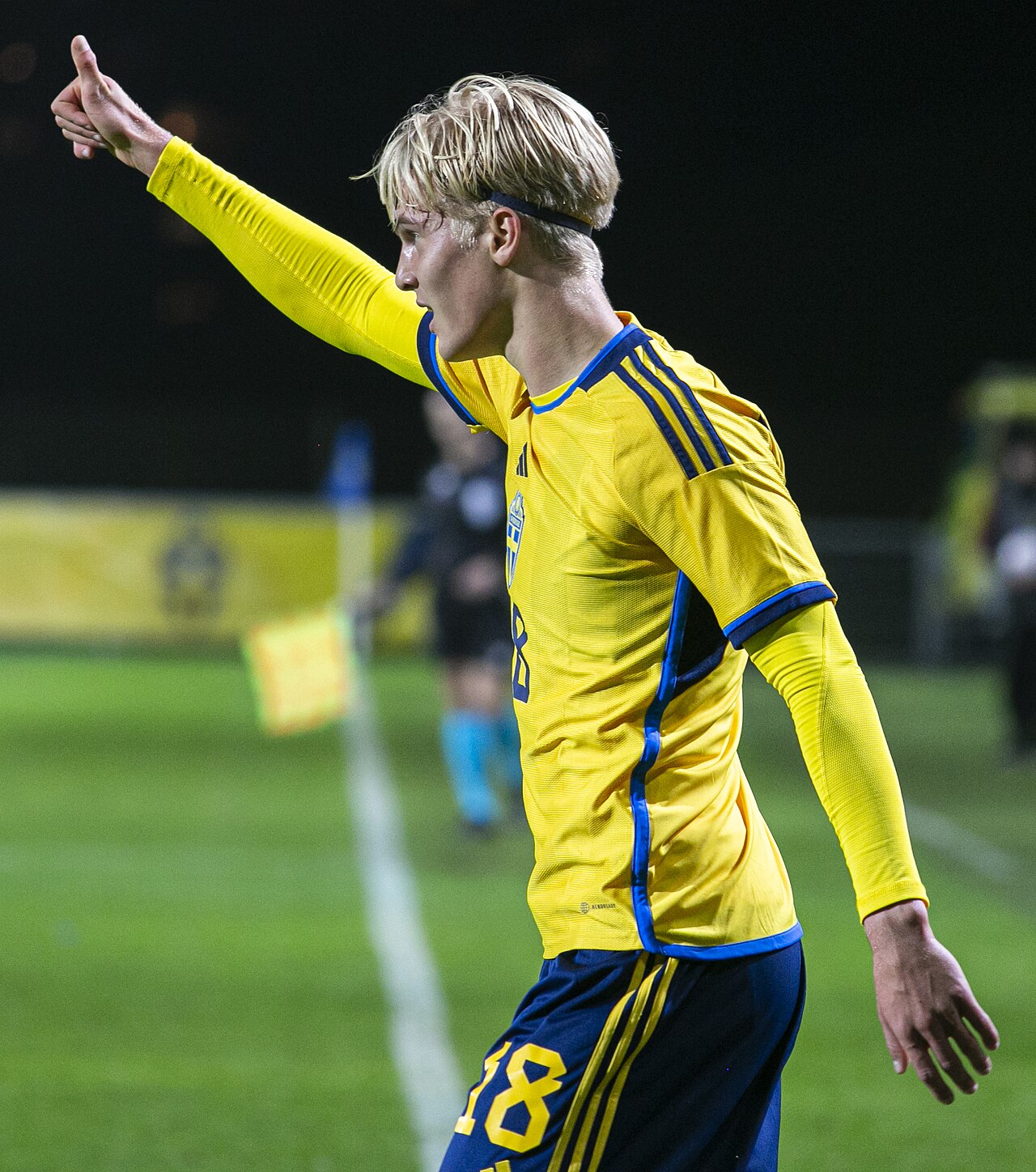 Lucas Bergvall prolonge à Tottenham : le Suédois s’installe